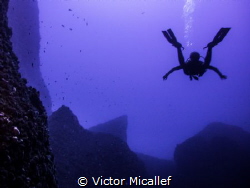 Free fallin' into the blue by Victor Micallef 